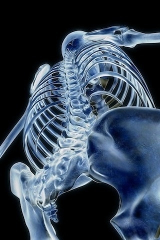 惊叹！罕见医学3D人体美图 奇妙图片